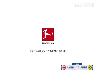 德甲聯(lián)賽 法蘭克福VS多特蒙德 20250118