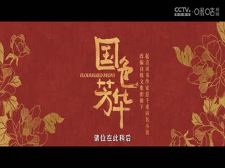 英超聯(lián)賽 布倫特福德VS利物浦 20250118