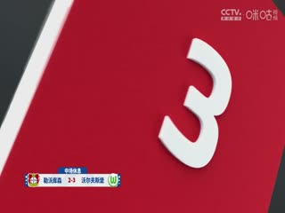德甲聯(lián)賽 勒沃庫森VS沃爾夫斯堡 20240922