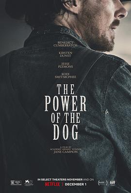 犬之力 The Power of the Dog[電影解說]