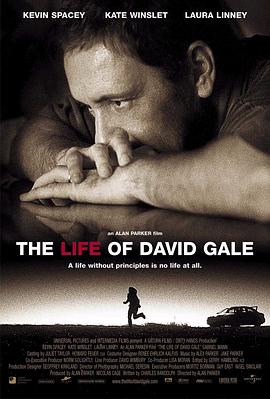 大衛(wèi)·戈?duì)柕囊簧?The Life of David Gale[電影解說(shuō)]