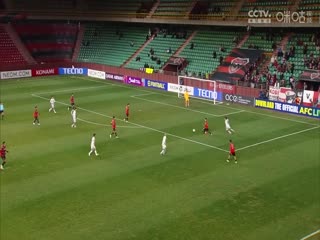 亞冠精英聯(lián)賽階段 浦項(xiàng)鐵人VS神戶勝利船 20241203