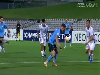 亞冠二級小組賽 悉尼VS廣島三箭 20241107