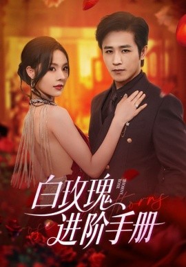 白玫瑰進(jìn)階手冊(cè)