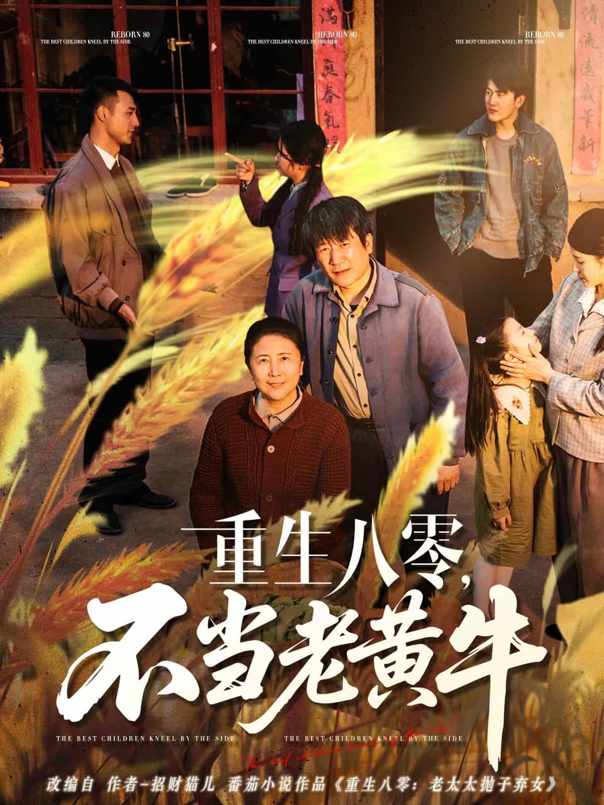 重生八零，不當(dāng)老黃牛