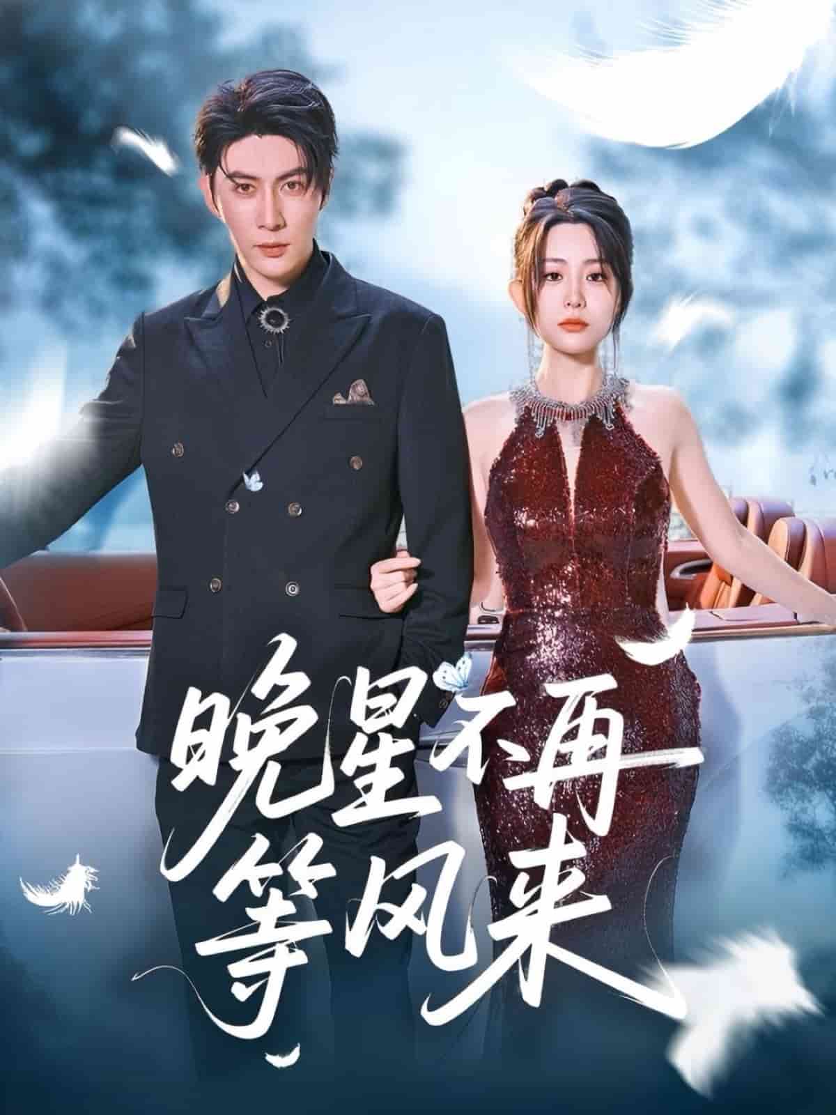 晚星不再等風(fēng)來(lái)