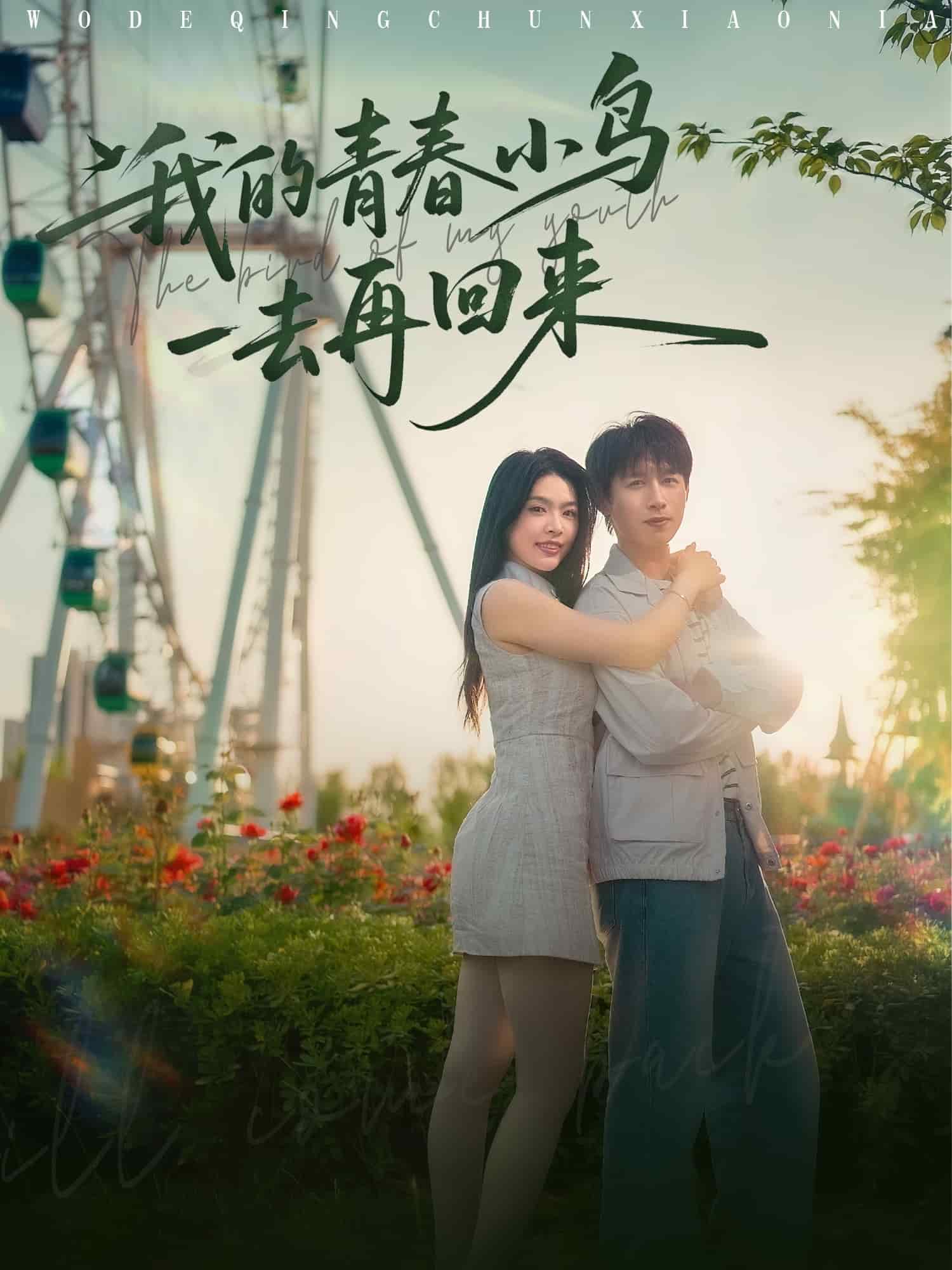 我的青春小鳥一去再回來