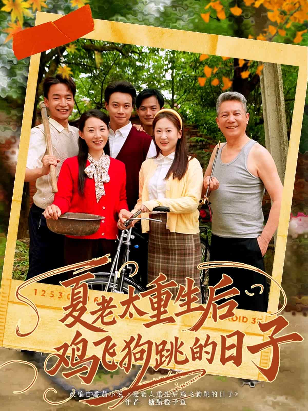 夏老太重生后雞飛狗跳的日子