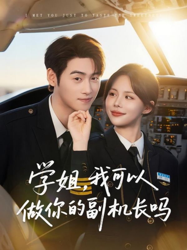 學(xué)姐我可以做你的副機(jī)長嗎