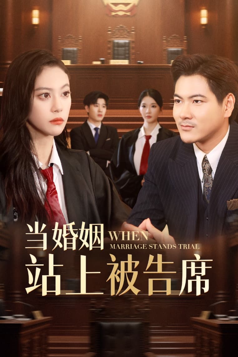 當(dāng)婚姻站上被告席