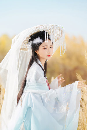 猛虎3国语版电影完整版免费观看