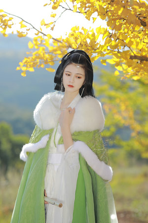 霸王别姬电影观看免费完整版