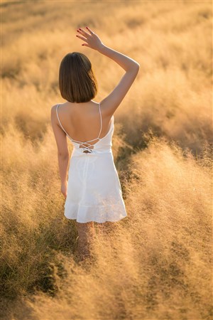 迈克尔杰克逊 歌曲