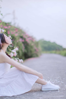 御赐小仵作电视剧免费观看