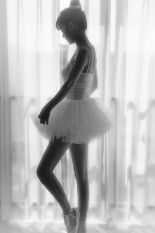 美女一区二区视频