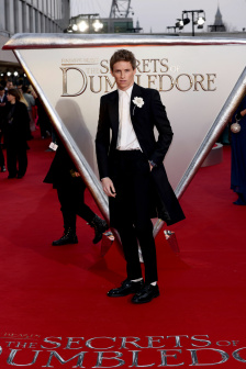 碧血黄花什么意思